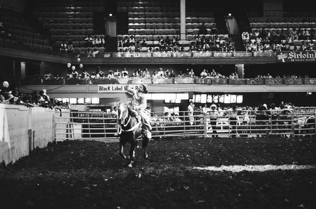 Black cowboys participate in rodeo at the International Amphitheatre - Howard D. Simmons for Chicago Sun-Times