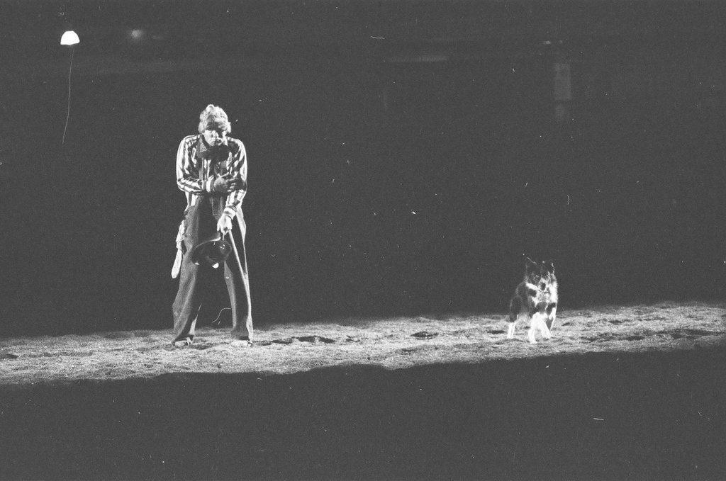 World Championship Rodeo - Jim Mescall for Chicago Sun-Times