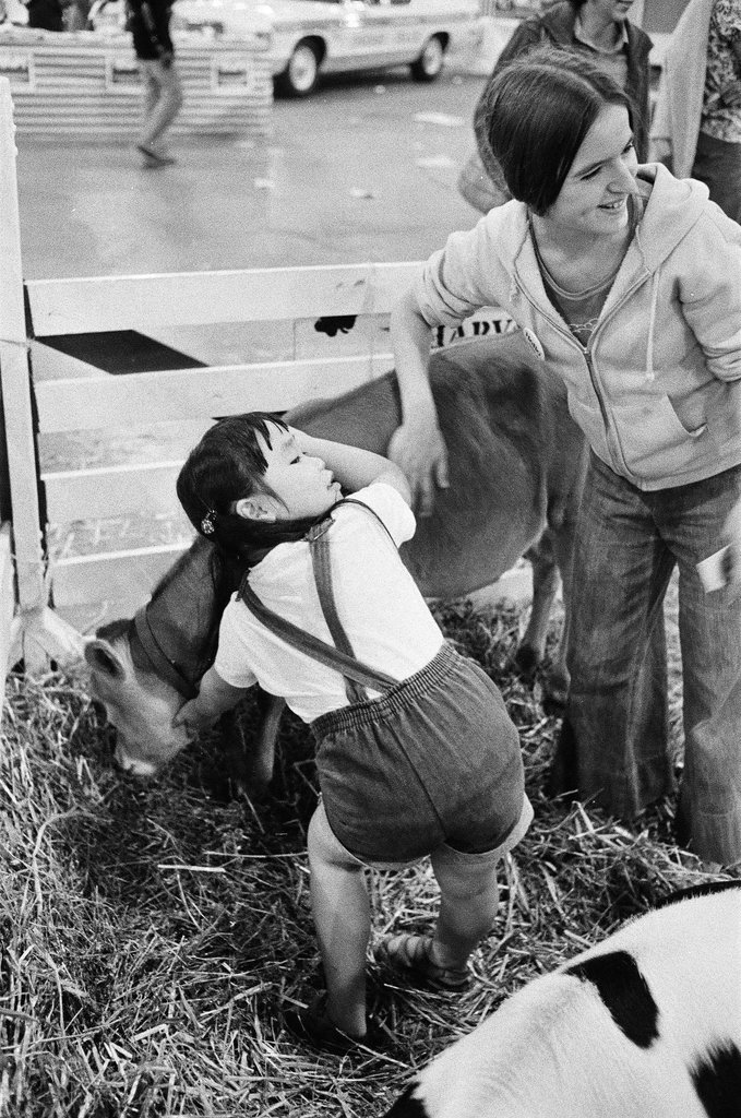 Rodeo at Country Fair - Martha Hartnett for Chicago Sun-Times