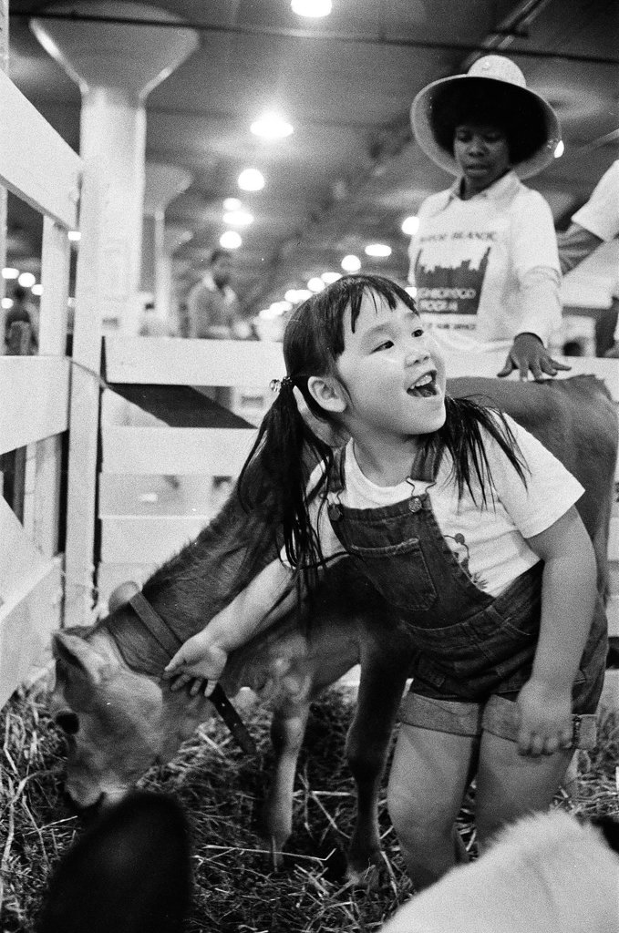 Rodeo at Country Fair - Martha Hartnett for Chicago Sun-Times