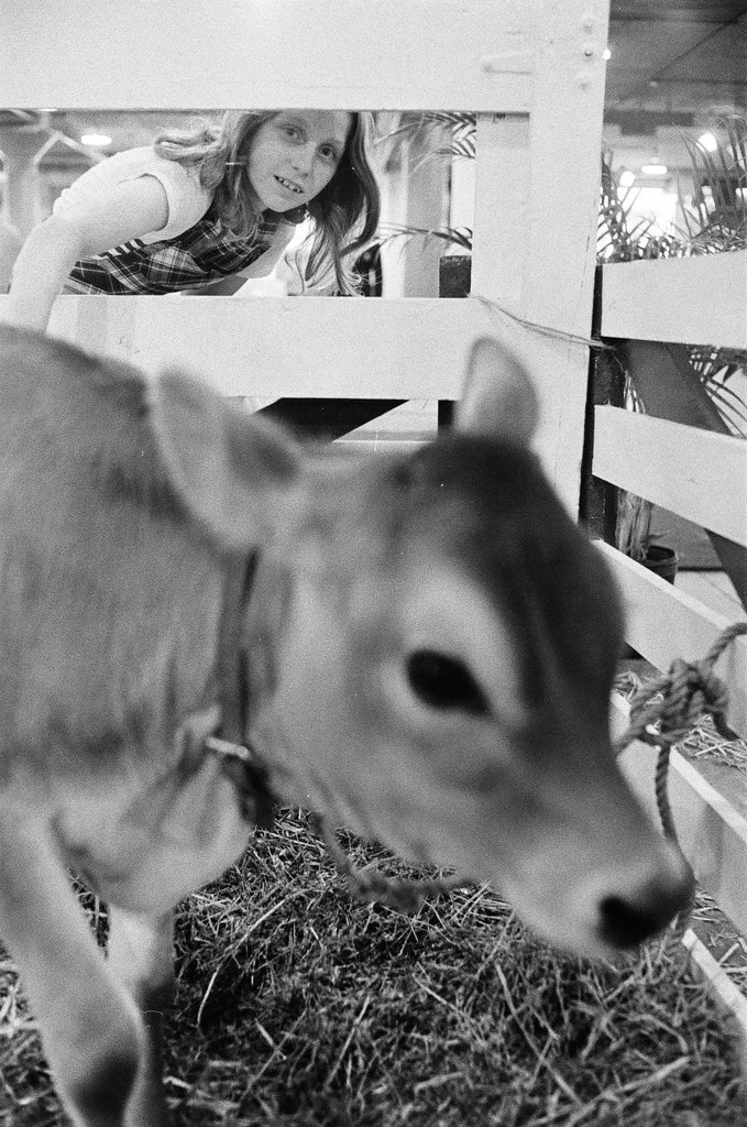 Rodeo at Country Fair - Martha Hartnett for Chicago Sun-Times