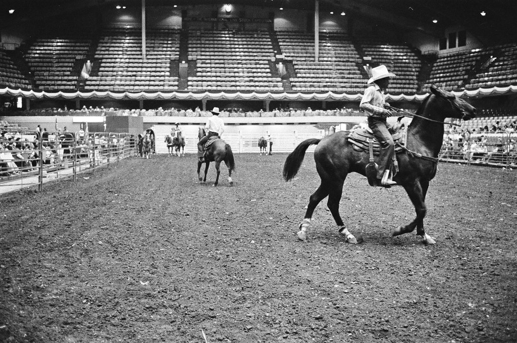 Rodeo at Country Fair - Martha Hartnett for Chicago Sun-Times