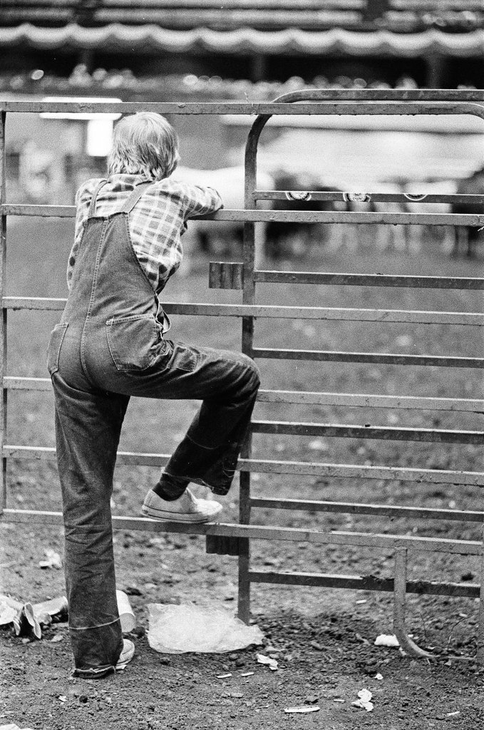 Rodeo at Country Fair - Martha Hartnett for Chicago Sun-Times