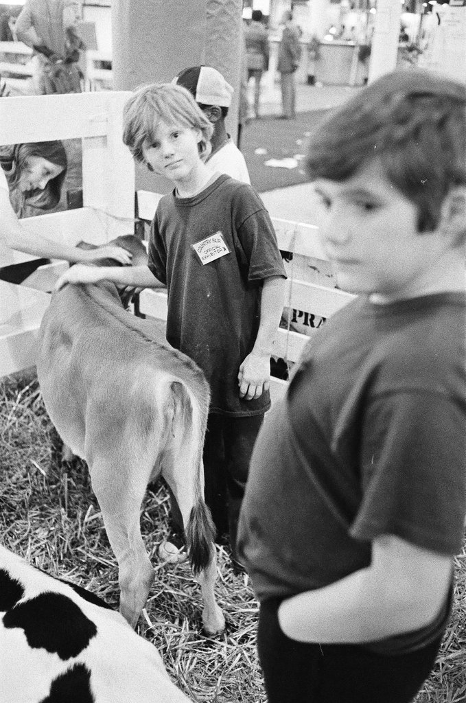 Rodeo at Country Fair - Martha Hartnett for Chicago Sun-Times