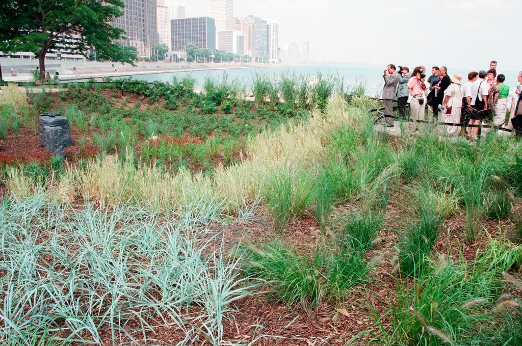 New Jane Addams Memorial Park - Chicago Sun-Times