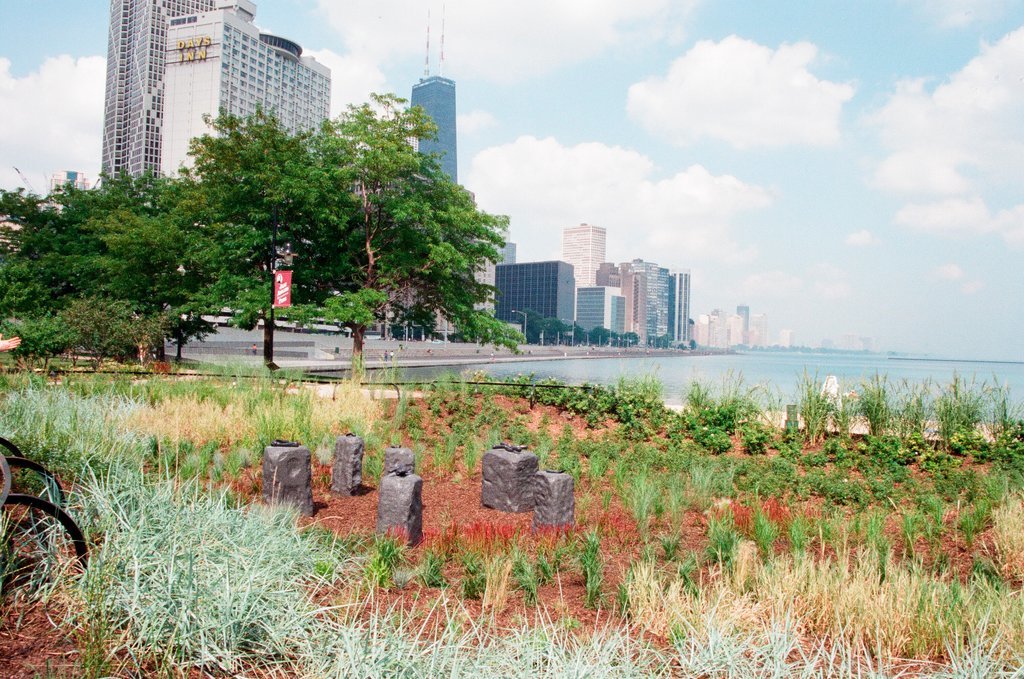 New Jane Addams Memorial Park - Chicago Sun-Times
