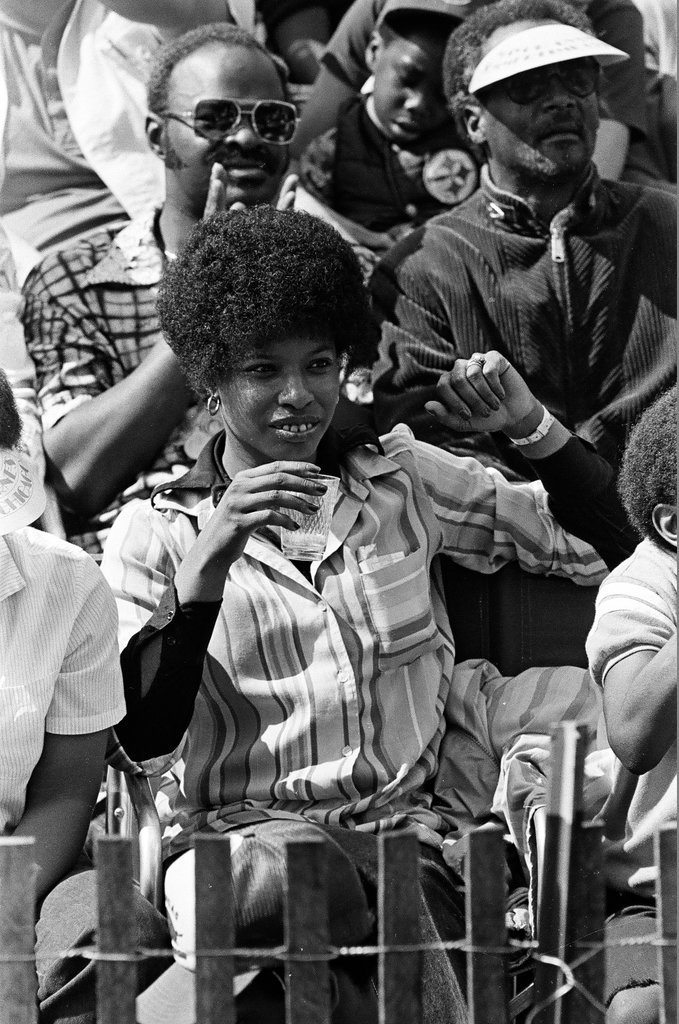 Jackson Park neighborhood festival - Chicago Sun-Times