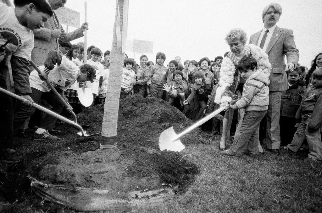 Jane Byrne announces cleanup program - Chicago Sun-Times