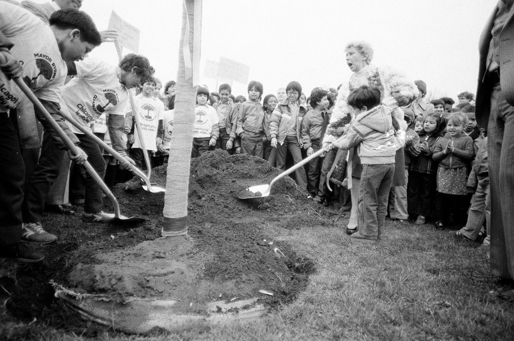 Jane Byrne announces cleanup program - Chicago Sun-Times