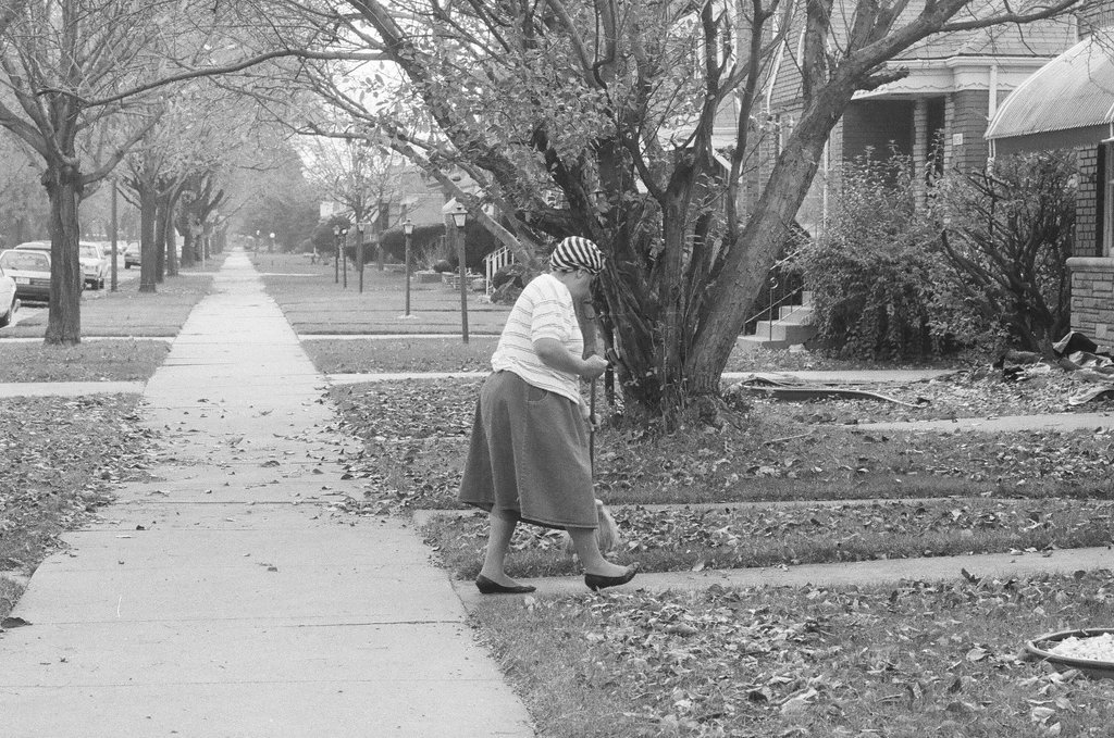 Chatham residents rake yards - Chicago Sun-Times