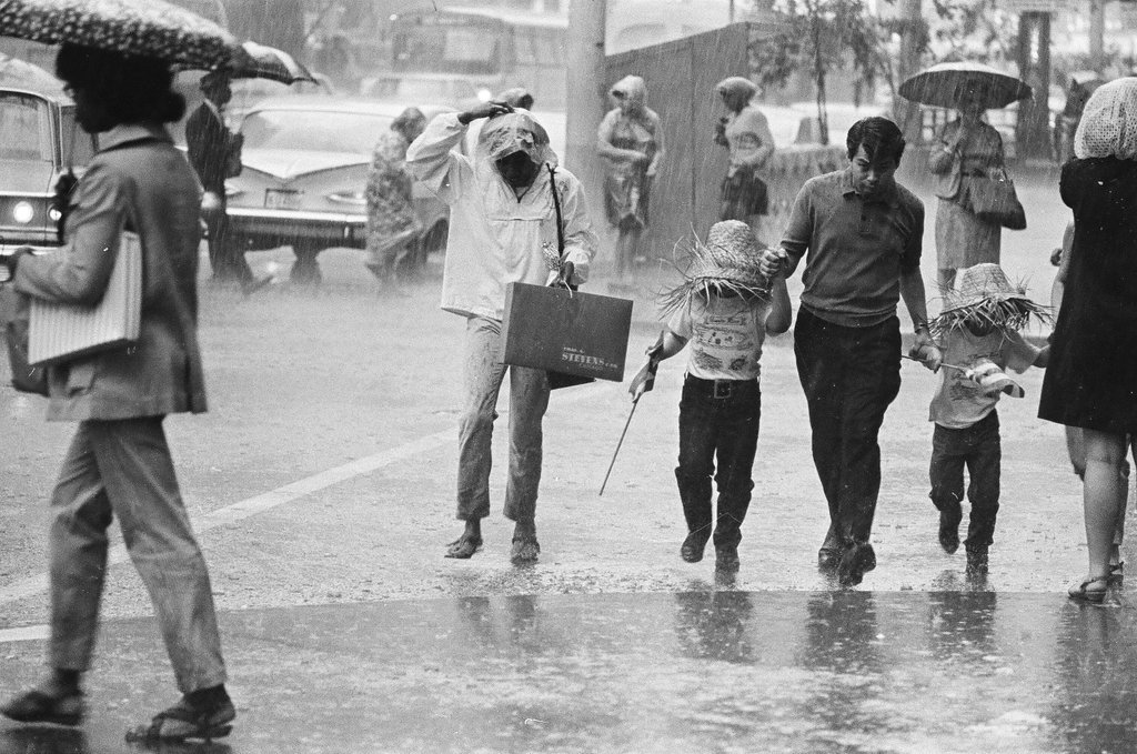 Puerto Rican Day parade - Chicago Sun-Times