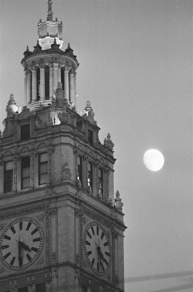 Moon rising above Wrigley Building - Chicago Sun-Times