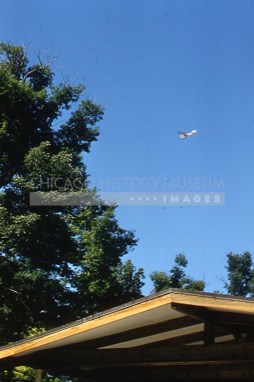 Flying object - Maier, Vivian
