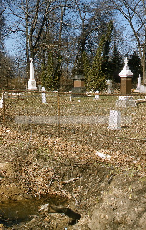 Cemetery - Maier, Vivian