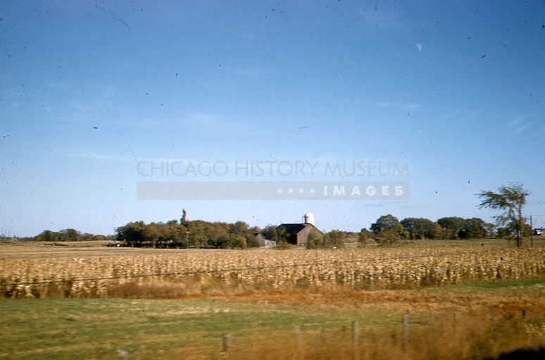 Country landscape - Maier, Vivian