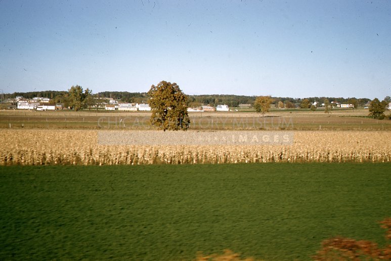 Country landscape - Maier, Vivian