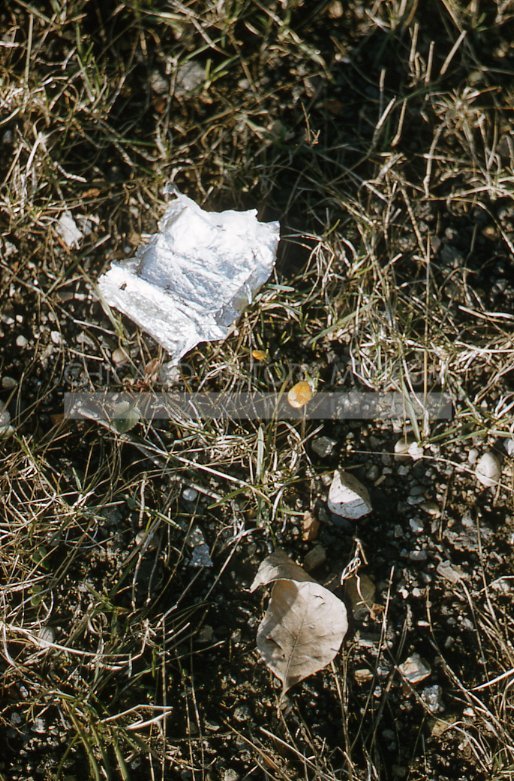 Litter in the grass - Maier, Vivian