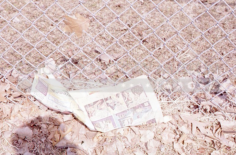 Newspaper against a fence - Maier, Vivian