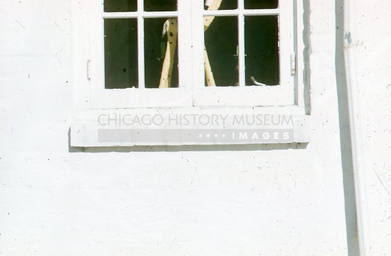 Toy giraffe in a window - Maier, Vivian