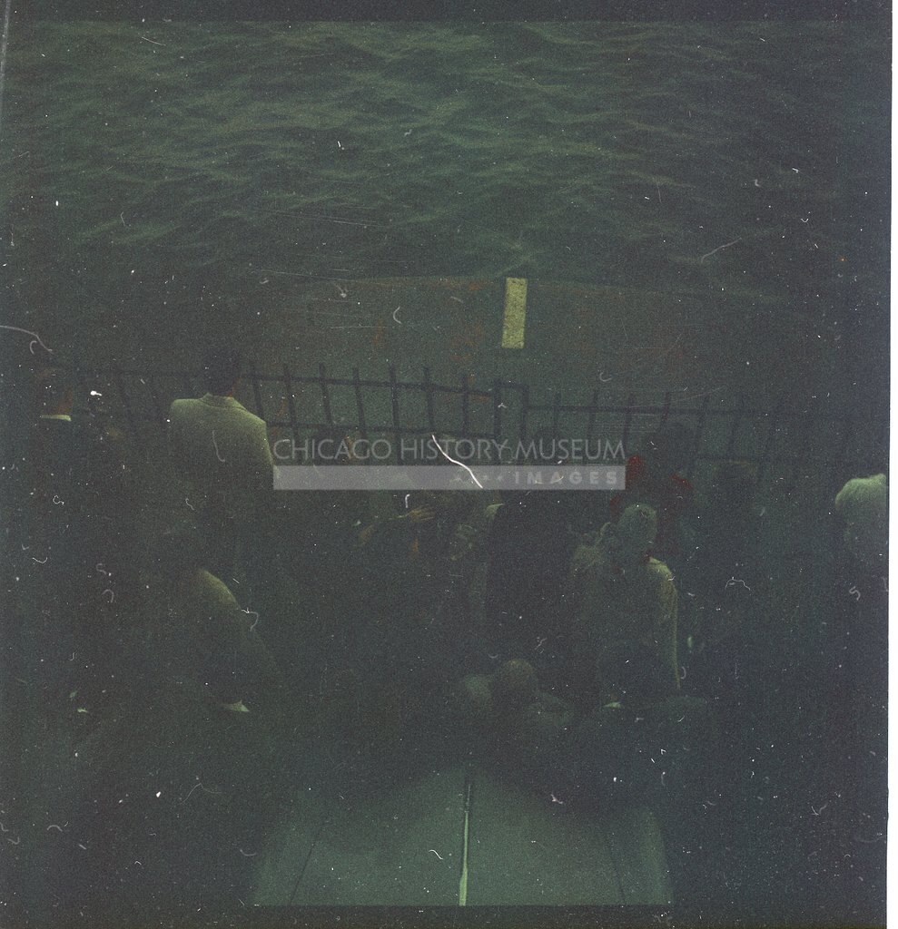 Crowd gazing at the water - Maier, Vivian