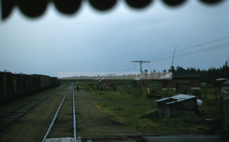 Trainline - Maier, Vivian