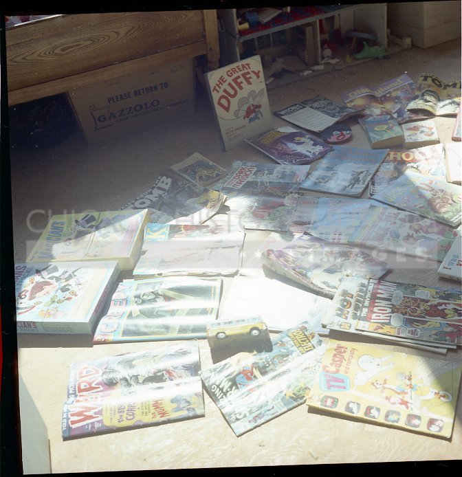 Array of comic books - Maier, Vivian