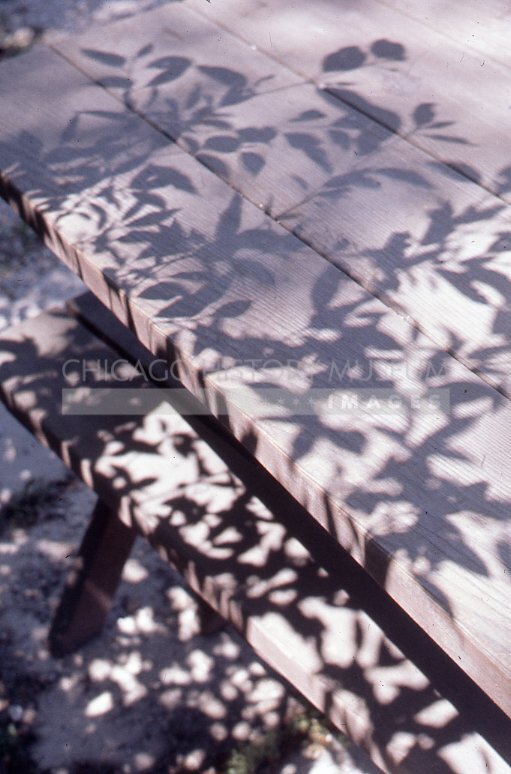 Shadow play on a picnic table - Maier, Vivian