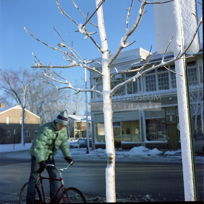 Snow encrusted tree and bicyclist - Maier, Vivian