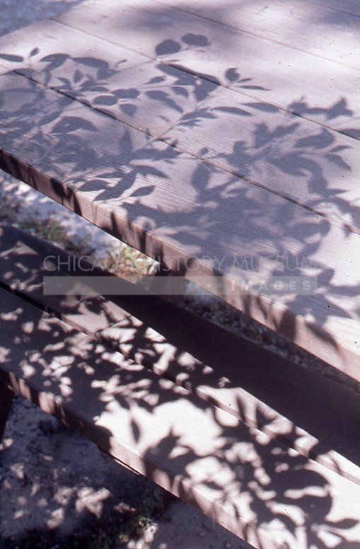 Shadows on a picnic table - Maier, Vivian