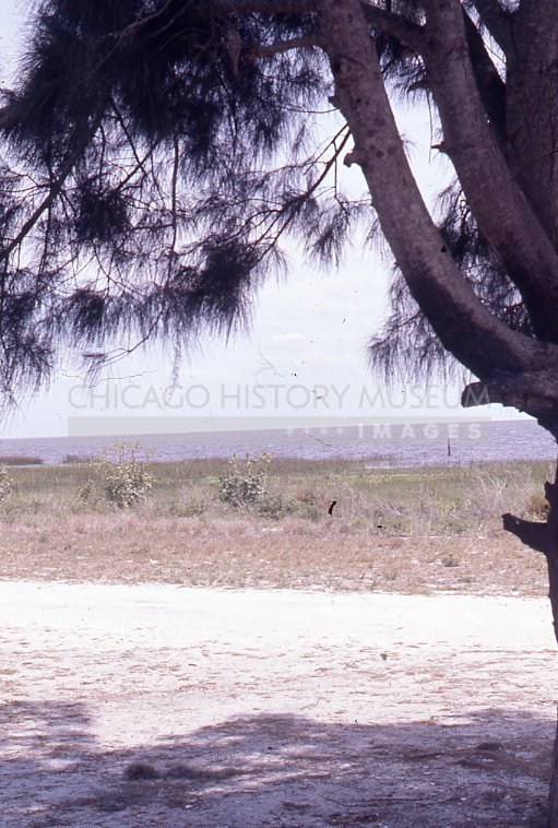 Lake Okeechobee - Maier, Vivian