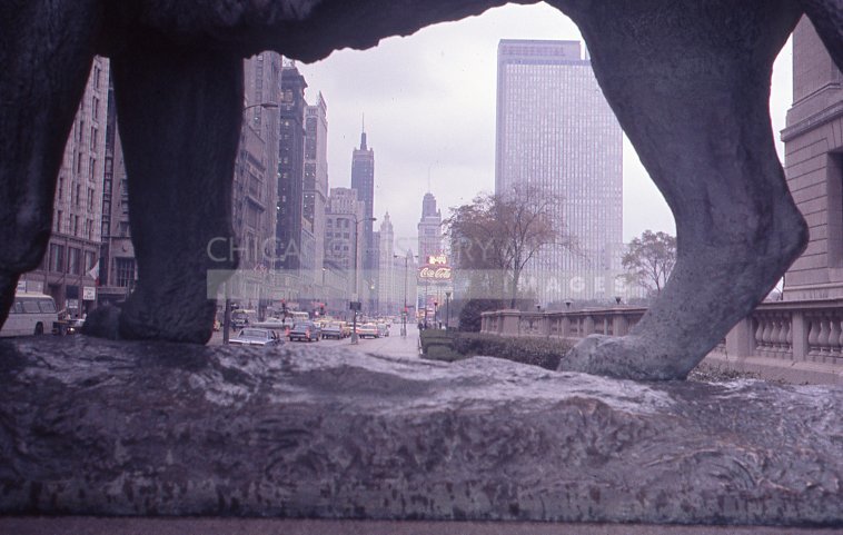 Looking north up Michigan Avenue from beneath the north Art Institute lion - Maier, Vivian