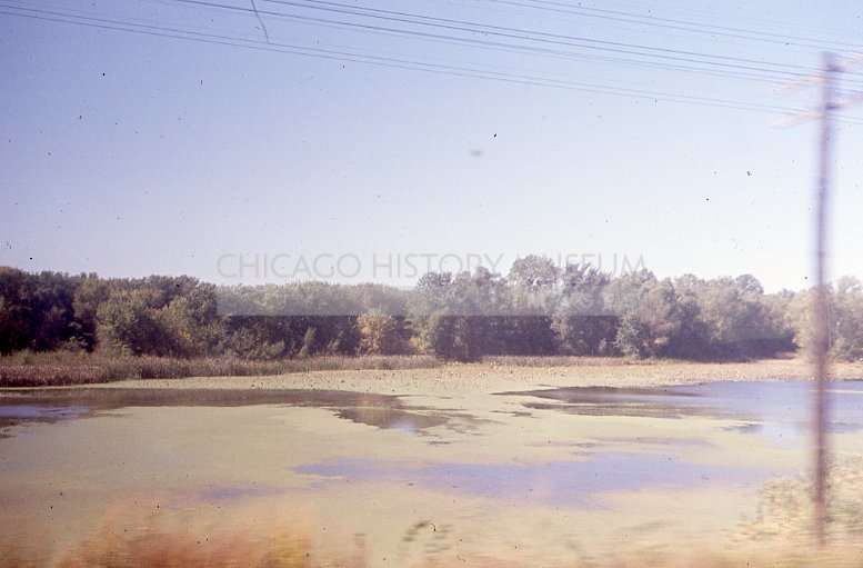Riverscape with algae and phone lines - Maier, Vivian