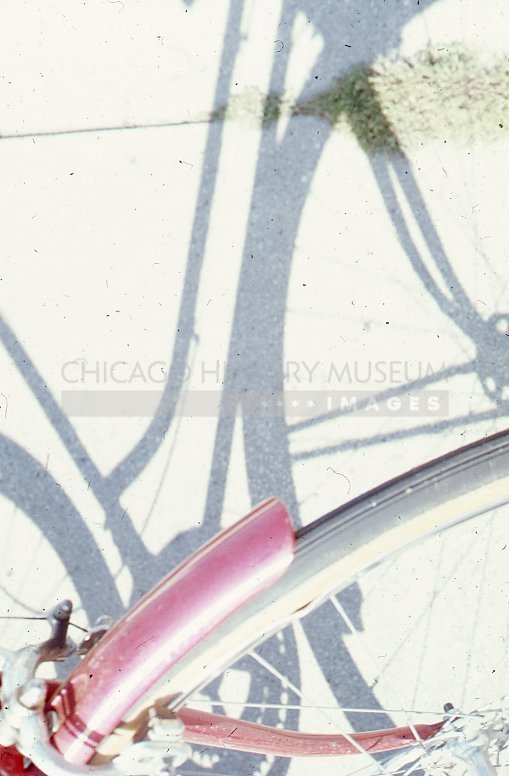 Shadow play with bicycle - Maier, Vivian