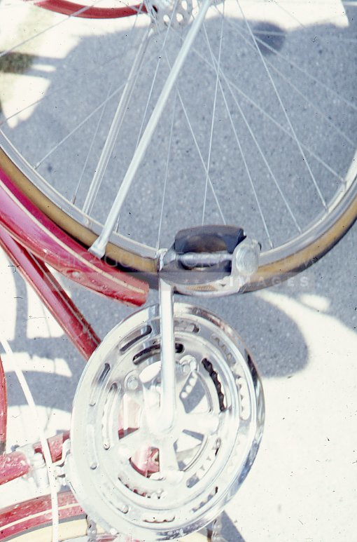 Shadow play with bicycle - Maier, Vivian