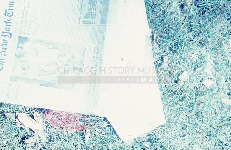 New York Times in the grass - Maier, Vivian