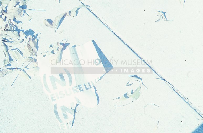 Newspaper and Leaves on the Sidewalk - Maier, Vivian