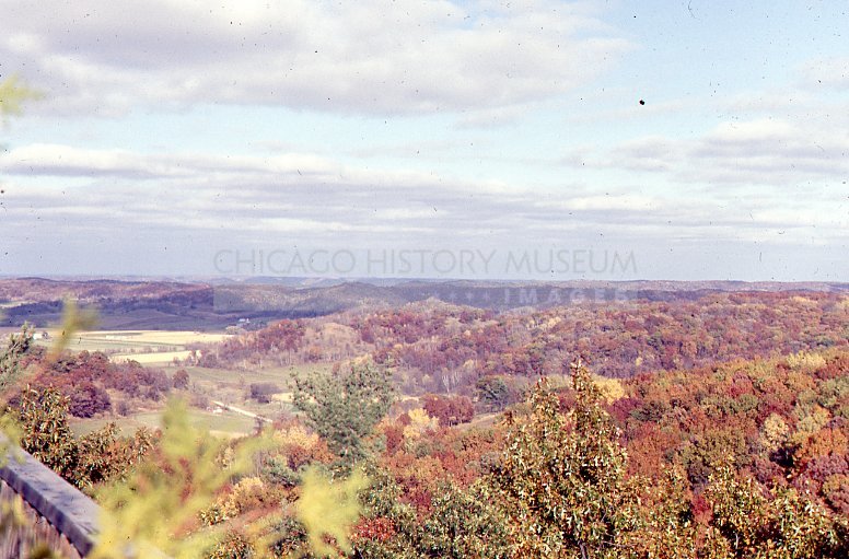 Autumn foliage from above - Maier, Vivian