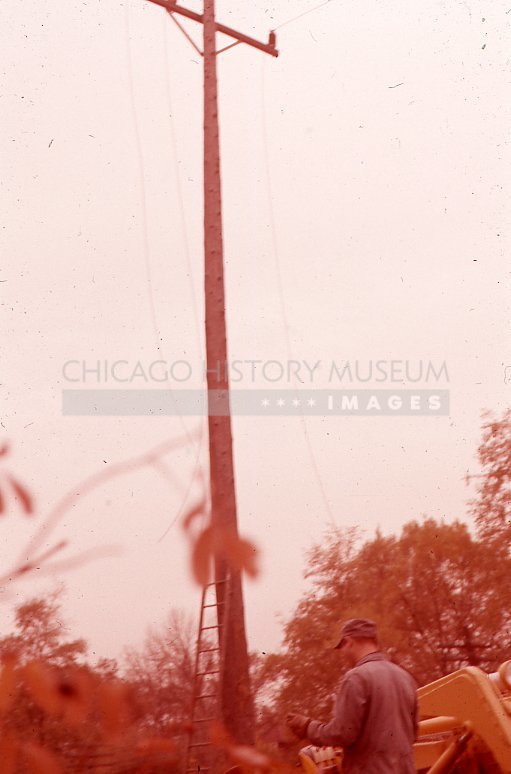 Workman under a telephone pole - Maier, Vivian