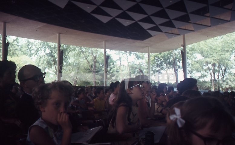 Crowd at a concert - Maier, Vivian