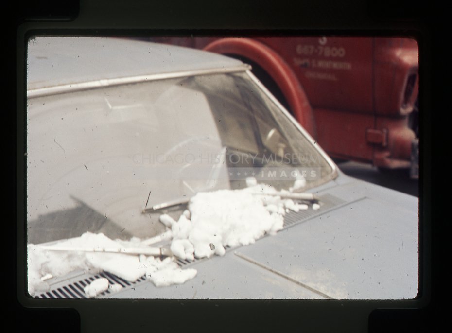 Snow on car - Maier, Vivian