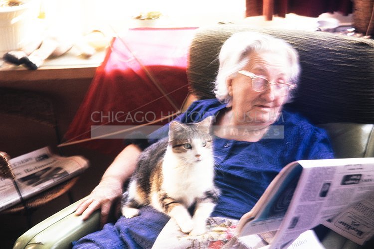 Woman with cat reading paper - Maier, Vivian