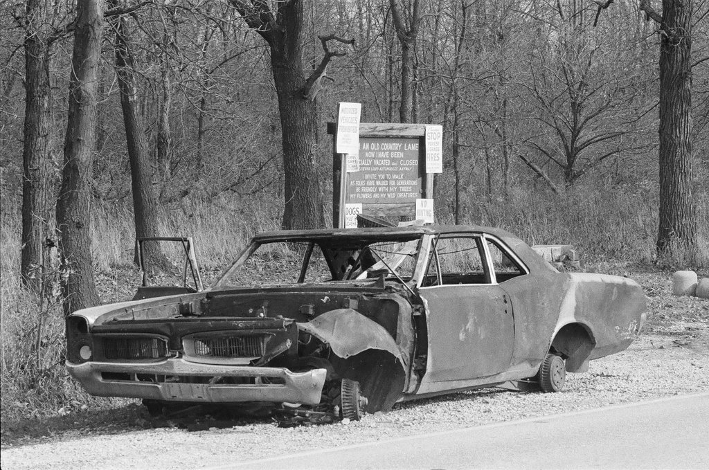 Abandoned car near forest preserve - Gene Pesek for Chicago Sun-Times