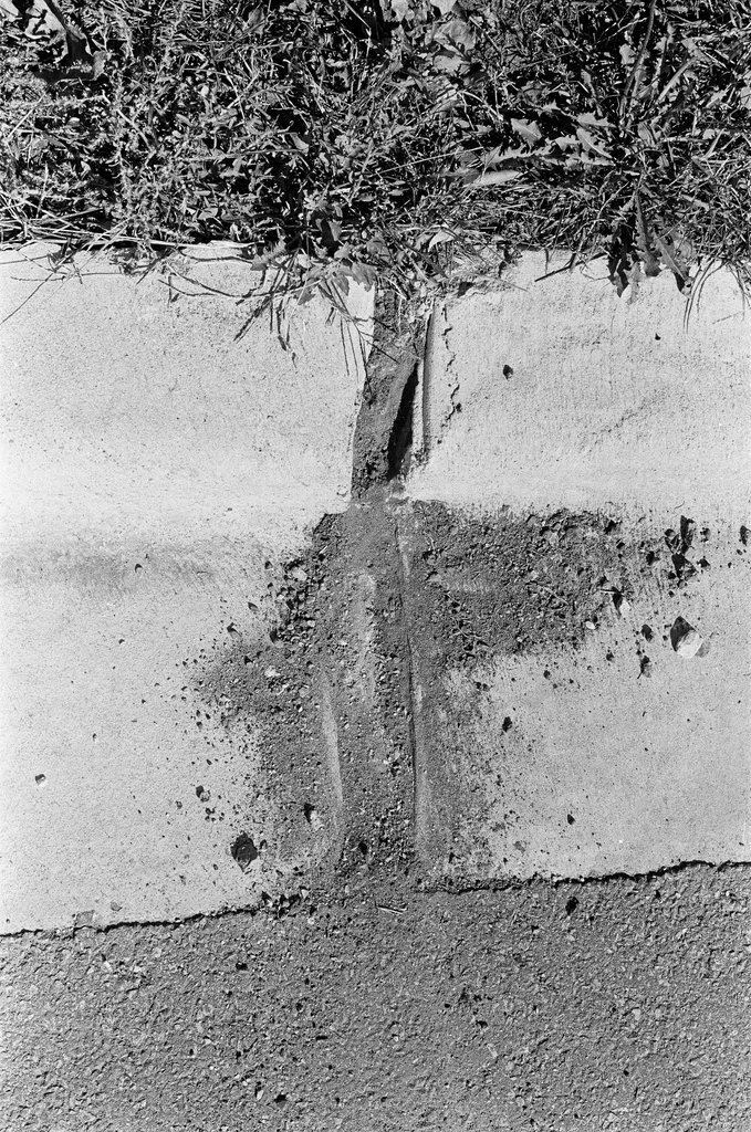 Broken curb cement - John Jaqua for Chicago Sun-Times