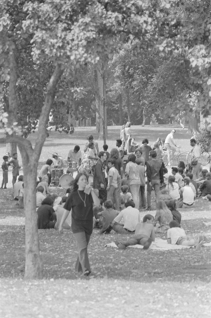 Gathering at Lincoln Park on anniversary of Democratic Convention - Larry Graff for Chicago Sun-Times
