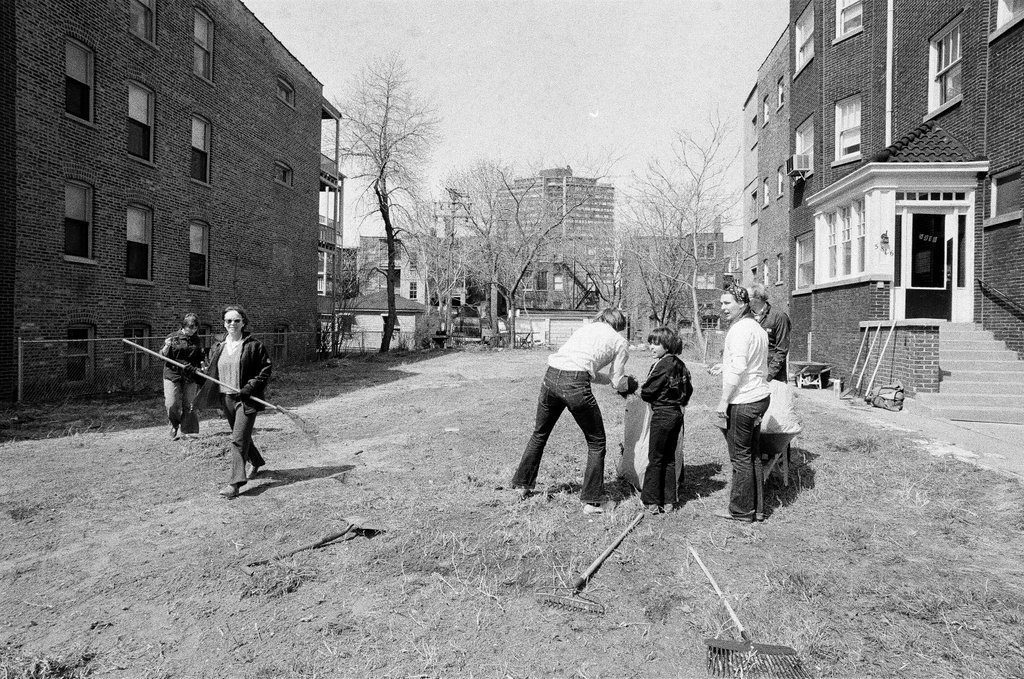 Clean up project in Edgewater - Kevin Horan for Chicago Sun-Times