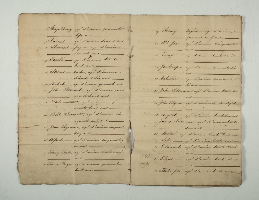 Document regarding a mortgage, plantation, and enslavement of 112 people