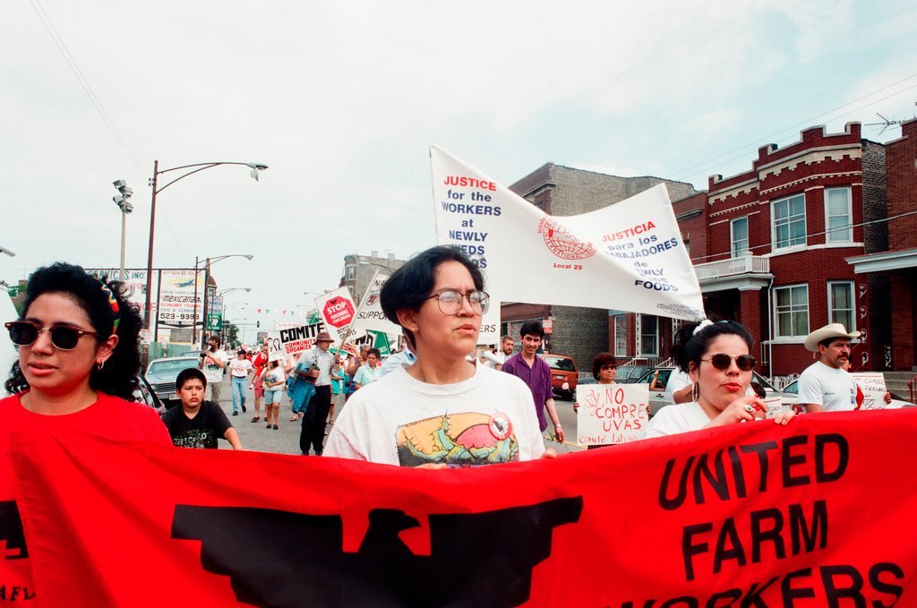 Boycott grapes rally and march in Pilsen - Ellen Domke for Chicago Sun-Times