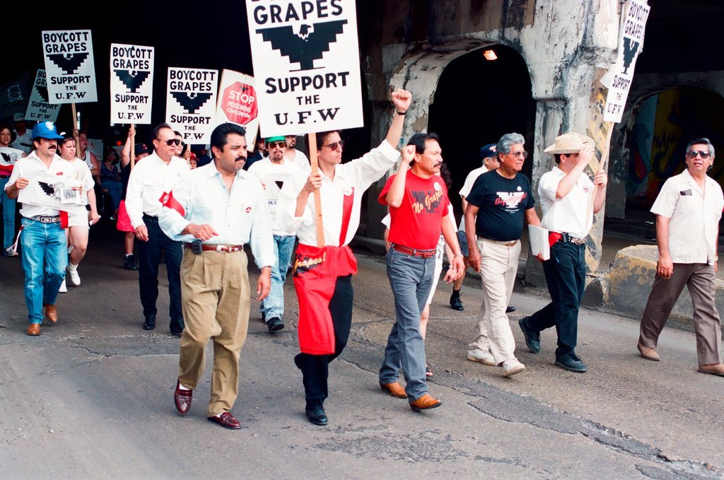 Boycott grapes rally and march in Pilsen - Ellen Domke for Chicago Sun-Times