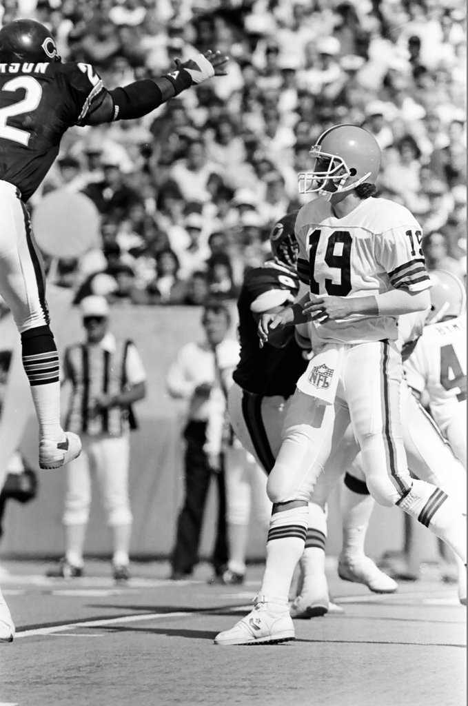 Chicago Bears vs. Cleveland Browns - Barry Jarvinen for Chicago Sun-Times