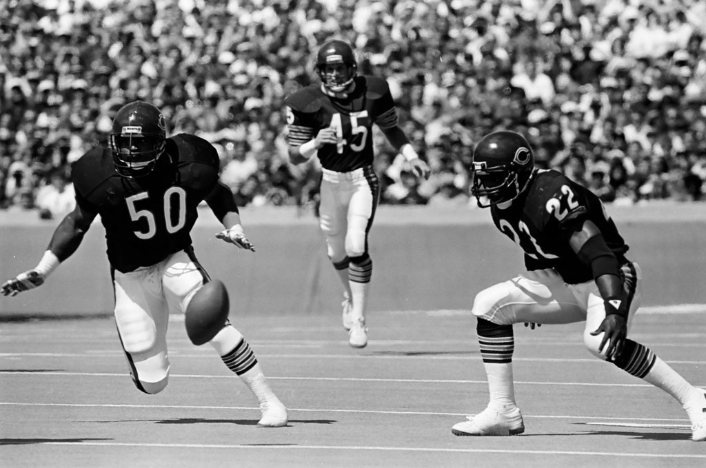Chicago Bears vs. Cleveland Browns - Barry Jarvinen for Chicago Sun-Times